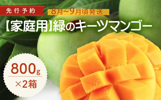 【家庭用】緑のキーツマンゴー800g×2箱【2025年8月～9月頃発送】 809096 - 沖縄県今帰仁村