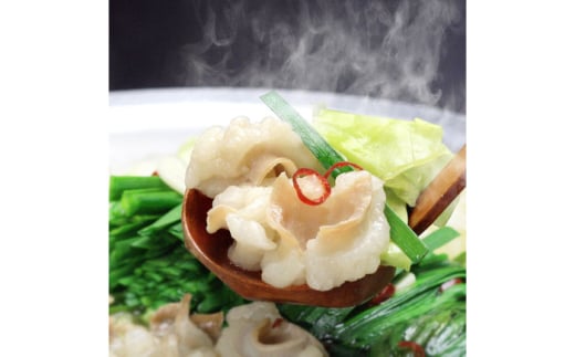 博多もつ鍋セット(九州味噌仕立て) 4～6人前 国産牛もつ600g《築上町》【株式会社ベネフィス】 [ABDF139] 20000円 1547370 - 福岡県築上町