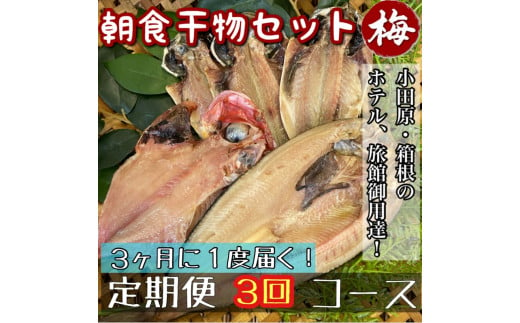 【3ヶ月に1回配送 定期便3回】小田原、箱根の旅館、ホテル御用達！朝食干物セット 梅【 まぐろや 神奈川県小田原市 】 1699435 - 神奈川県小田原市