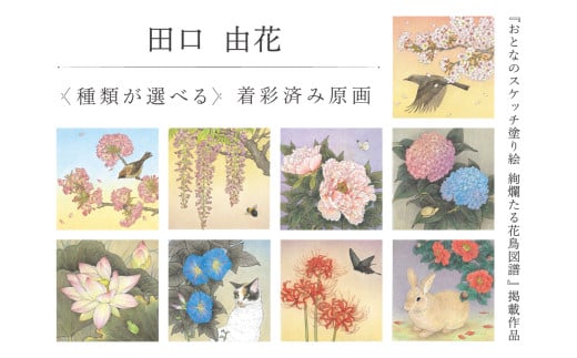 田口由花 着彩済み原画(『おとなのスケッチ塗り絵 絢爛たる花鳥図譜』掲載作品) [色鉛筆画 日本画 絵画 インテリア 原画 芸術品 美術品]