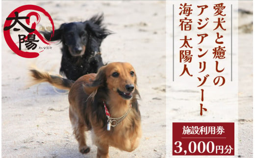 愛犬と癒しのアジアンリゾート 海宿 太陽人　施設利用券3枚　【 伊豆 宿泊 旅行 観光 宿泊券 施設利用券 宿 南伊豆 静岡 伊豆 宿泊 旅行 観光 宿泊券 宿 温泉 南伊豆 静岡 クーポン 犬 小型犬 中型犬 大型犬 ペット同伴 ペットと泊まれる 】<CL-1> 1729054 - 静岡県南伊豆町