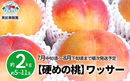 [No.5657-3879]【硬めの桃】信州須坂の桃 ワッサー 特秀品 約2kg (約5～11玉) 《黒岩果樹園》■2025年発送■※7月中旬頃～8月下旬頃まで順次発送予定 1177644 - 長野県須坂市