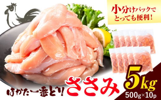 鶏肉 はかた一番どり ささみ 5kg 株式会社あらい《30日以内に出荷予定(土日祝除く)》 福岡県 鞍手郡 鞍手町 地鶏 鶏肉 とり肉 ささみ 小分けパック 500g 1551767 - 福岡県鞍手町