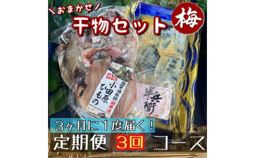 【3ヶ月に1回定期便3回】厳選！小田原の旬の干物セット 梅【 まぐろや 神奈川県小田原市 】 1720666 - 神奈川県小田原市