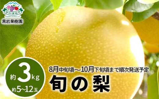 [No.5657-3517]旬の梨 約3kg (約5～12玉) 《黒岩果樹園》■2025年発送■※8月中旬頃～10月下旬頃まで順次発送予定 1060995 - 長野県須坂市