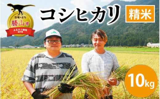 【令和6年産 新米】勝山産 コシヒカリ 精米 10kg（5kg×2袋） [B-079001] 1553257 - 福井県勝山市