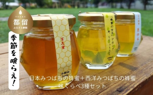 日本みつばちの蜂蜜＋西洋みつばちの蜂蜜　味くらべ3種セット 100ｇ×3｜日本みつばち 西洋みつばち はちみつ ハチミツ 和蜂 