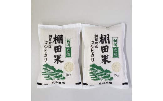 【令和6年産米】新潟県岩船産 棚田米コシヒカリ 4kg（2kg×2袋）1067084 1547537 - 新潟県村上市