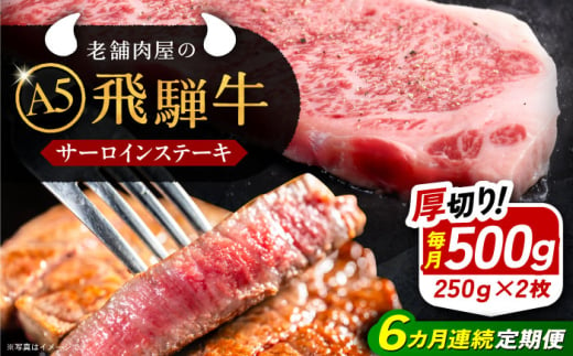 【6回定期便】 飛騨牛 サーロインステーキ (A5ランク) 250g×2枚 和牛 国産 霜降り 恵那市 / 岩島屋 [AUAJ028] 1546951 - 岐阜県恵那市