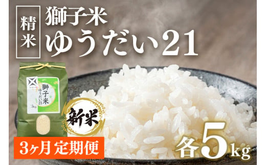 【定期便】獅子米 ゆうだい21精米5㎏ × 3か月【令和6年産】獅子米 ゆうだい21 精米 5kg お米 白米 米 おこめ ブランド米 ゆうだい ユウダイ21 5キロ 国産 単一原料米 コメ こめ ご飯 銘柄米 茨城県産 茨城 産直 産地直送 農家直送 ごはん 家庭用 贈答用 お取り寄せ ギフト 茨城県 石岡市 (B02-034)