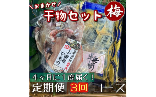 【4ヶ月に1回定期便3回】厳選！小田原の旬の干物セット 梅【 まぐろや 神奈川県小田原市 】 1720669 - 神奈川県小田原市