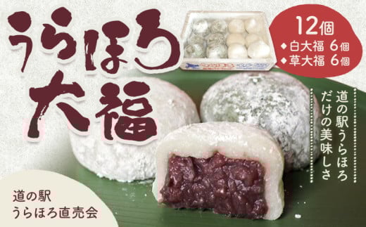 十勝 うらほろ大福 12個入り 白大福 草大福 道の駅うらほろ 直売会 《60日以内に出荷予定(土日祝除く)》北海道 浦幌町 大福 浦幌町産 小豆 冷凍 お菓子 スイーツ 餅