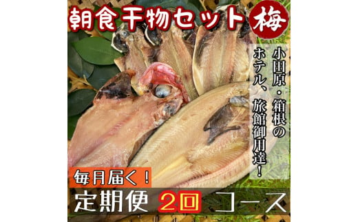 【毎月定期便2回】小田原、箱根の旅館、ホテル御用達！朝食干物セット 梅【 まぐろや 神奈川県小田原市 】 1699418 - 神奈川県小田原市