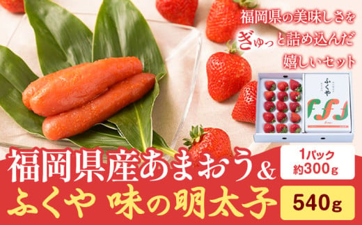 福岡県産あまおうギフト箱 & ふくや味の明太子 540g 南国フルーツ株式会社《1月上旬-3月末頃出荷》福岡県 鞍手町 あまおう いちご めんたいこ 明太子 セット 送料無料 1553163 - 福岡県鞍手町