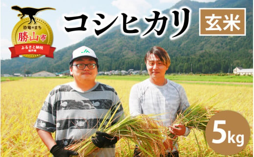 【令和6年産 新米】勝山産 コシヒカリ 玄米 5kg [A-079002] 1553256 - 福井県勝山市