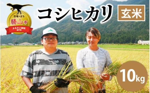 【令和6年産 新米】勝山産 コシヒカリ 玄米 10kg（5kg×2袋） [B-079002] 1553258 - 福井県勝山市