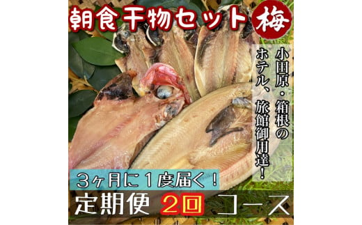 【3ヶ月に1回配送 定期便2回】小田原、箱根の旅館、ホテル御用達！朝食干物セット 梅【 まぐろや 神奈川県小田原市 】 1699434 - 神奈川県小田原市