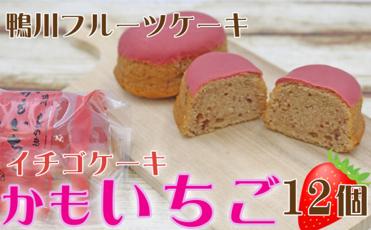 【鴨川フルーツケーキ】いちごケーキ「かもいちご」12個 [0010-0313] 409555 - 千葉県鴨川市