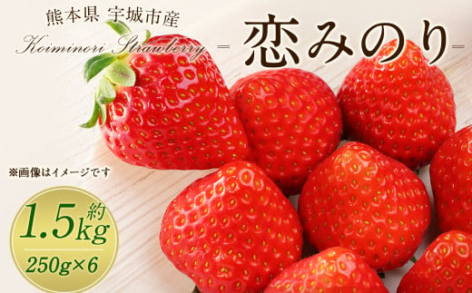 宇城市産 恋みのり イチゴ 6パック 約1.5kg【2025年2月上旬から3月下旬発送予定】苺 いちご イチゴ 恋みのり 1546722 - 熊本県宇城市