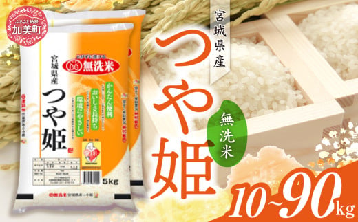 令和6年産 宮城県産 つや姫 無洗米 10kg(5kg×2)定期便 1回 〜 9回 [カメイ 宮城県 加美町 ] お米 こめ コメ 精米 白米 | km00014-r6