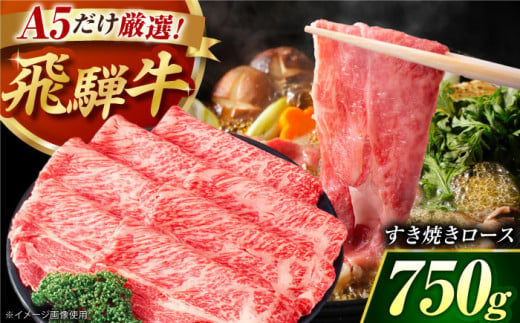 A5 厳選 飛騨牛 すき焼き 750g / 飛騨 牛 牛肉 お肉 肉 すき焼き すきやき しゃぶしゃぶ A5 a5 赤身 あかみ ロース 薄切り スライス 取り寄せ ギフト 厳選 ブランド牛 黒毛和牛 国産 高級肉 岐阜 肉のキング 人気 おすすめ 御嵩町 [AVAG001]