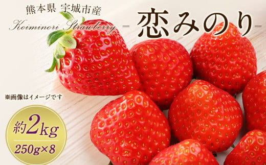 宇城市産 恋みのり イチゴ 8パック 約2kg【2025年2月上旬から3月下旬発送予定】苺 いちご イチゴ 恋みのり 1546723 - 熊本県宇城市