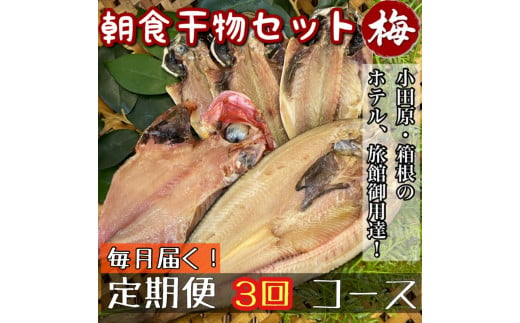 【毎月定期便3回】小田原、箱根の旅館、ホテル御用達！朝食干物セット 梅【 まぐろや 神奈川県小田原市 】 1699419 - 神奈川県小田原市