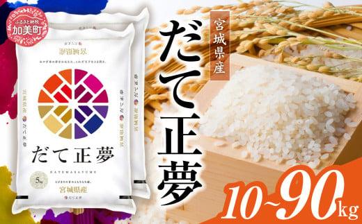 令和6年産 宮城県産 だて正夢 10kg(5kg×2)定期便 1回 〜 9回 [ カメイ 宮城県 加美町 ] お米 こめ コメ 精米 白米 だてまさむね | km00015-r6