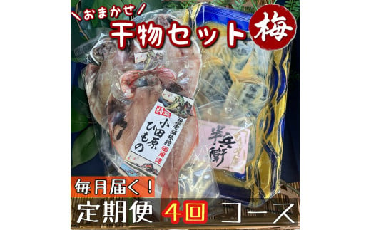 【毎月定期便4回】厳選！小田原の旬の干物セット 梅【 まぐろや 神奈川県小田原市 】 1720651 - 神奈川県小田原市