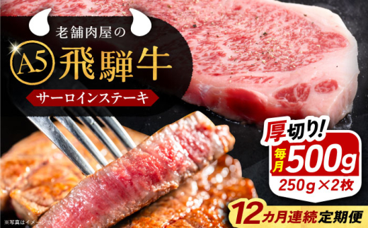 【12回定期便】 飛騨牛 サーロインステーキ (A5ランク) 250g×2枚 和牛 国産 霜降り 恵那市 / 岩島屋 [AUAJ029] 1546952 - 岐阜県恵那市