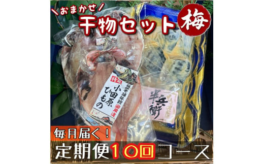 【毎月定期便10回】厳選！小田原の旬の干物セット 梅【 まぐろや 神奈川県小田原市 】 1720657 - 神奈川県小田原市