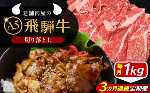 【3回定期便】 飛騨牛 切り落とし肉 A5ランク 1kg 和牛 国産 霜降り 恵那市 / 岩島屋 [AUAJ033] 1546956 - 岐阜県恵那市