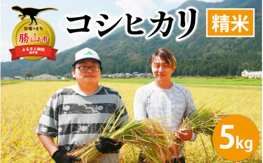 【令和6年産 新米】勝山産 コシヒカリ 精米 5kg [A-079001] 1553255 - 福井県勝山市