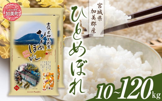 令和6年産 宮城県加美産 ひとめぼれ 10kg(5kg×2)定期便 1回 〜 12回 [カメイ 宮城県 加美町 ] お米 こめ コメ 精米 白米 | km00013-r6