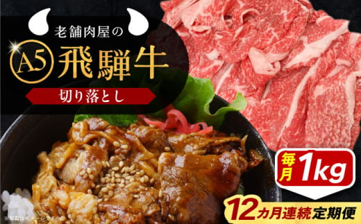 【12回定期便】 飛騨牛 切り落とし肉 A5ランク 1kg 和牛 国産 霜降り 恵那市 / 岩島屋 [AUAJ035] 1546958 - 岐阜県恵那市