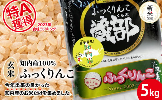 【新米発送】知内産 ふっくりんこ 玄米 5kg 【JA新はこだて】 知内町 ふるさと納税 玄米 こめ 北海道産お米 北海道米 美味しいお米 北海道産米 ブランド米 1547559 - 北海道知内町