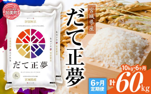 【定期便6回】令和6年産 宮城県産 だて正夢 10kg(5kg×2）×6回  [ カメイ 宮城県 加美町 ]  お米 こめ コメ 精米 白米 だてまさむね | km00015-r6-10kg-6 1547680 - 宮城県加美町