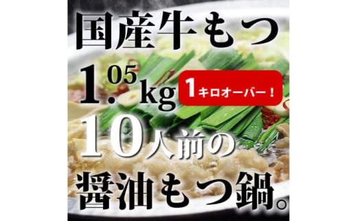 国産牛もつ1kgオーバー！九州醤油もつ鍋 10人前《築上町》【株式会社ベネフィス】 [ABDF159] 20000円 1547390 - 福岡県築上町