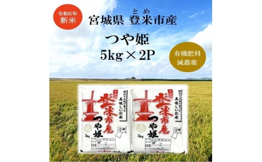 【新米】令和6年宮城県登米市産「つや姫」5kg×2袋 合計10kgセット 1547115 - 宮城県登米市