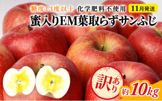 りんご 【 11月発送 】 訳あり 蜜入り EM 葉取らず サンふじ 約 10kg 糖度 13度以上 【 弘前市産 青森りんご 】 リンゴ 果物 青森 弘前 家庭用【 果物類 林檎  】 893753 - 青森県弘前市