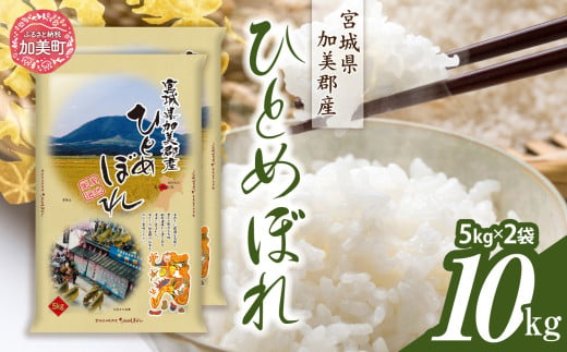 令和6年産 宮城県加美産 ひとめぼれ 10kg(5kg×2) [カメイ 宮城県 加美町 ] お米 こめ コメ 精米 白米 | km00013-r6-10kg