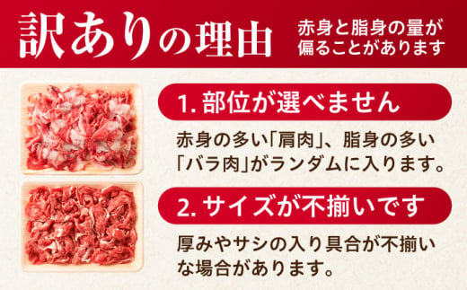 佐賀県吉野ヶ里町のふるさと納税 【年内配送 12月5日まで受付】【選べる発送月】【不揃い訳あり・部位おまかせ】佐賀産和牛 切り落とし 肩orバラ 計1.2kg（600g×2） 吉野ヶ里町 [FDB001]