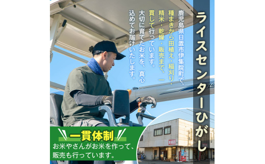 鹿児島県日置市のふるさと納税 No.563-A ＜新米・令和6年産！＞国産米！鹿児島県産ヒノヒカリ白米(6kg) 国産 九州産 鹿児島県産 米 お米 おこめ 6kg おにぎり お弁当 ご飯 ごはん 令和6年産 新米【ライスセンターひがし】