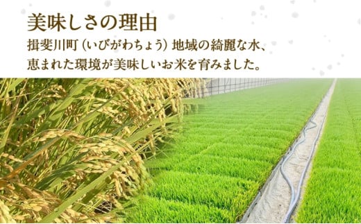 岐阜県揖斐川町のふるさと納税 [№5568-0025]岐阜県 揖斐川町産 令和6年 ハツシモ 高橋米 10kg 1袋 お米 精米 白米 米 ごはん ご飯 はつしも あっさり ふっくら ブランド米 10キロ 大粒 幻の米 お取り寄せ 自家用 高橋ファーム Takahashi Farm 揖斐川町