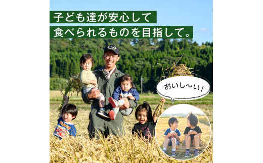 鹿児島県日置市のふるさと納税 No.563-A ＜新米・令和6年産！＞国産米！鹿児島県産ヒノヒカリ白米(6kg) 国産 九州産 鹿児島県産 米 お米 おこめ 6kg おにぎり お弁当 ご飯 ごはん 令和6年産 新米【ライスセンターひがし】