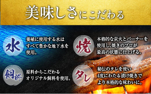 宮崎県新富町のふるさと納税 【2025年1月31日受付終了】＜数量限定＞うなぎ 定期便 国産 鰻 蒲焼 4尾セット定期便 （2025年2月,3月,4月お届け）全3回 合計2kg以上 魚介 贈答品 ギフト ウナギ 期間限定 鰻楽【E195-25】