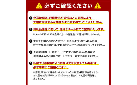 北海道遠別町のふるさと納税 【2025年発送】えんべつまるごとオーナープラン【ドリームプラン】