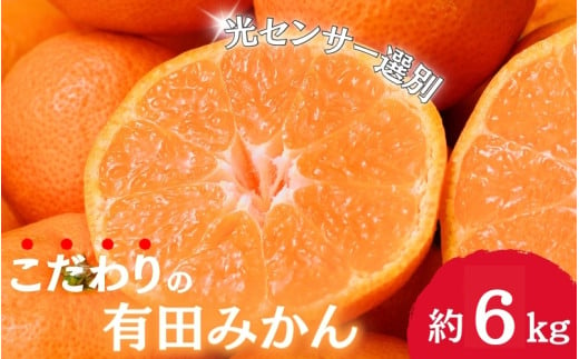 【12月発送】＼光センサー選別／農家直送 こだわりの完熟有田みかん 約6kg＋250g(傷み補償分) 【ご家庭用】みかん ミカン 有田みかん 温州みかん 柑橘 有田 和歌山 産地直送【nuk102-2】 1548542 - 和歌山県古座川町