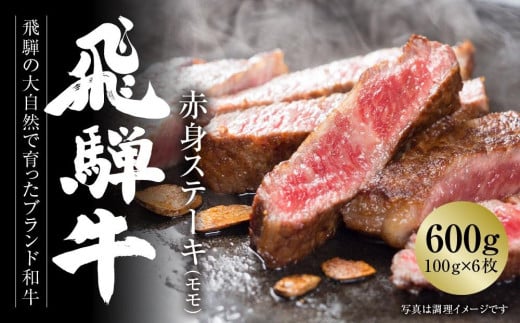 飛騨牛 赤身ステーキ 600g（100g×6枚） 冷凍真空パック | 肉 お肉 ステーキ 黒毛和牛 和牛 人気 おすすめ 牛肉 ギフト お取り寄せ【飛騨高山ミート MZ018】 1182160 - 岐阜県高山市