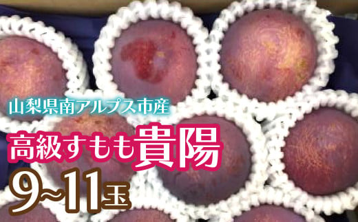 【2025年発送先行予約】高級すもも「貴陽」9-11玉 ALPCZ002 1549600 - 山梨県南アルプス市